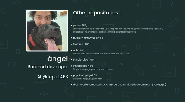 Vista del perfil del developer generada con el paquete its-my-code en Laravel